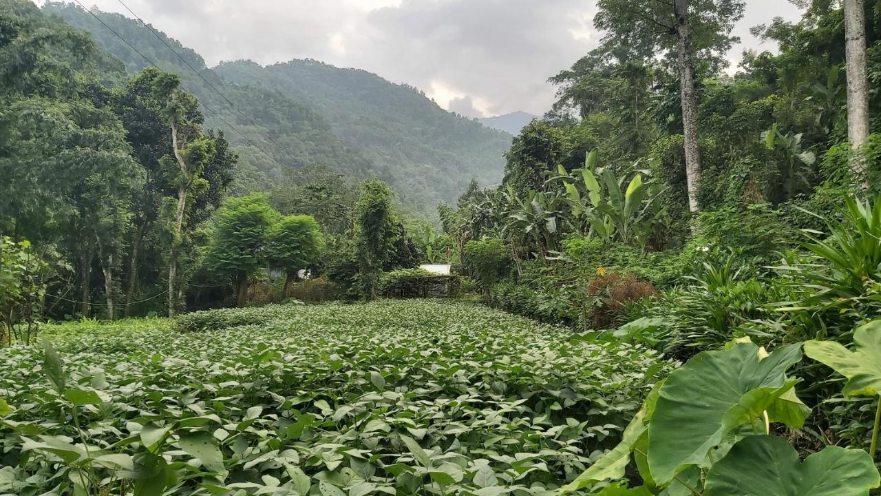 Eviana Homestay Darjeeling  Dış mekan fotoğraf