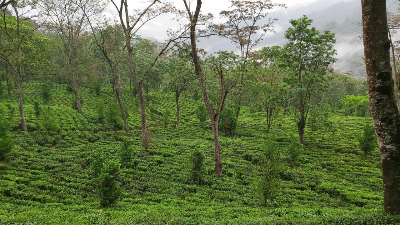 Eviana Homestay Darjeeling  Dış mekan fotoğraf