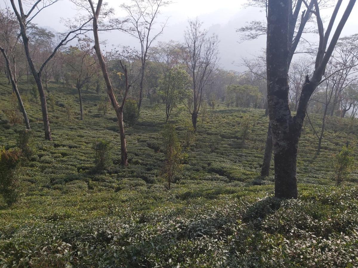 Eviana Homestay Darjeeling  Dış mekan fotoğraf