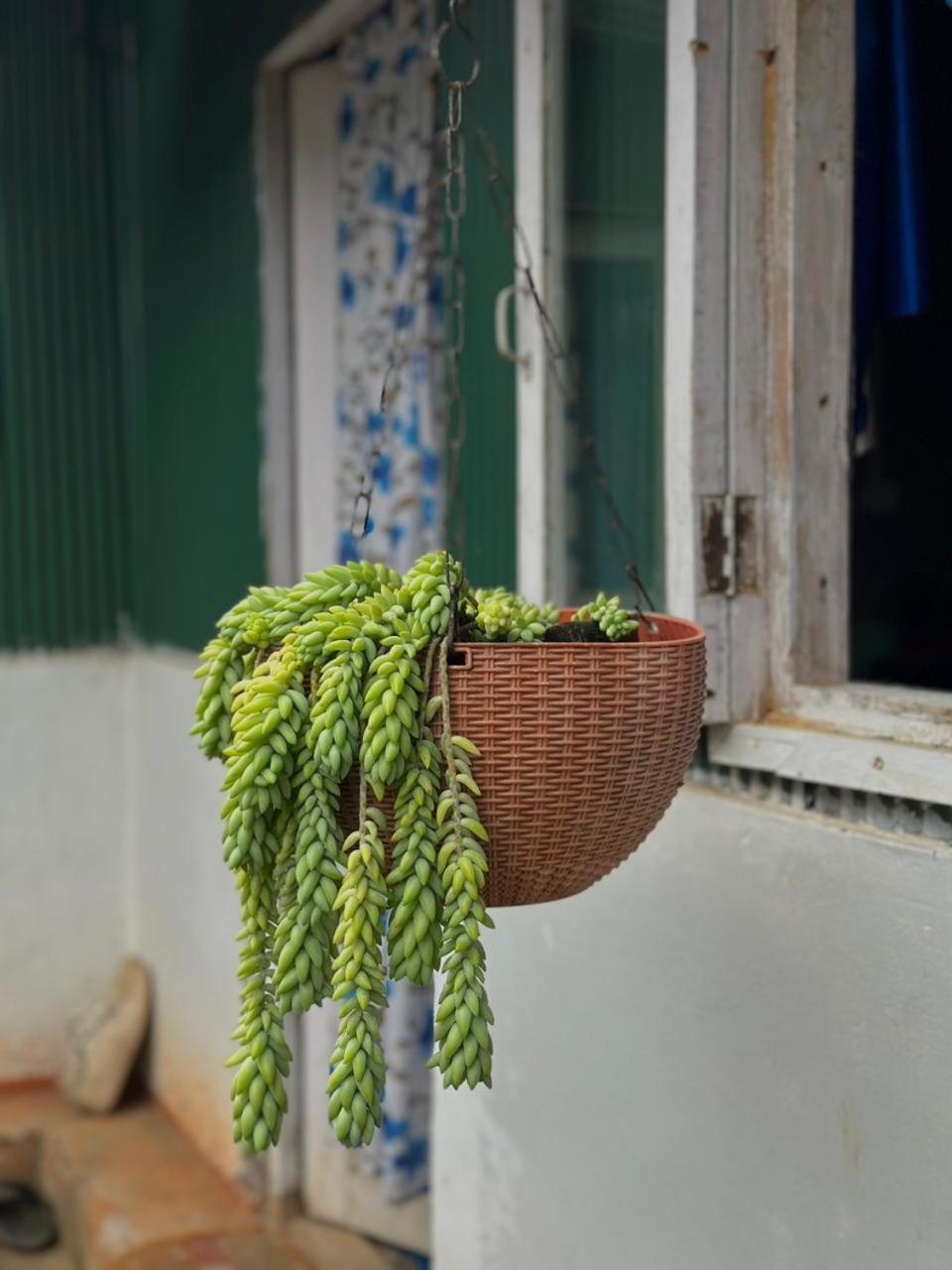 Eviana Homestay Darjeeling  Dış mekan fotoğraf