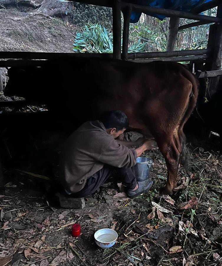 Eviana Homestay Darjeeling  Dış mekan fotoğraf