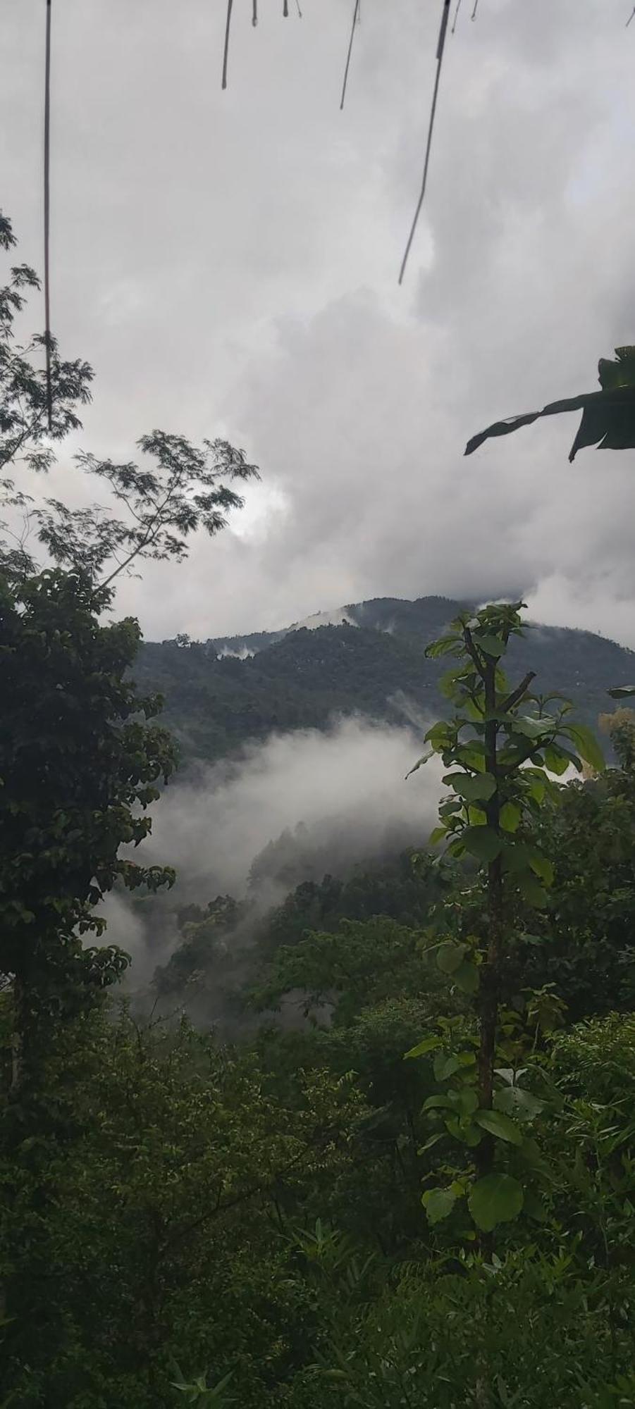 Eviana Homestay Darjeeling  Dış mekan fotoğraf